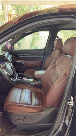 کیا تێلوراید